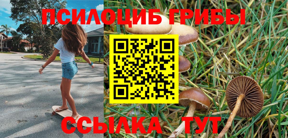 Псилоцибиновые грибы прущие грибы  Вход с VPN  Краснознаменск  Псилоцибиновые грибы прущие грибы 